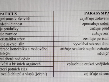 symaptikus  a parasympatikus co ovlivňují