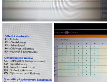 1. stress rating