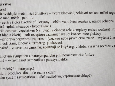 vegetativní nervová soustava